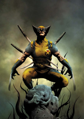wolverine01