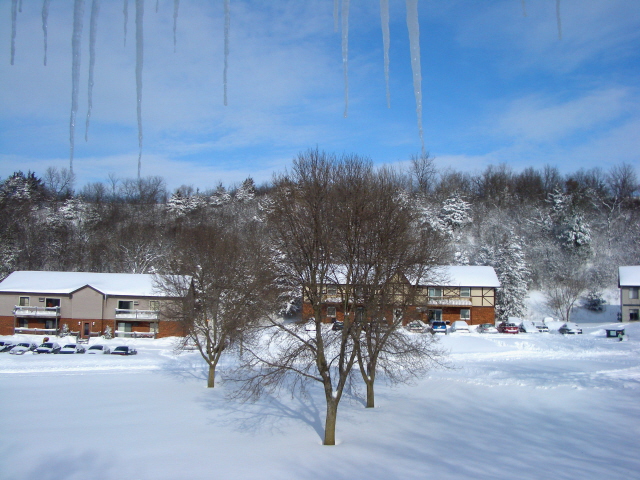 The view from Roger's balcony door. Guess who wrote this blog post?