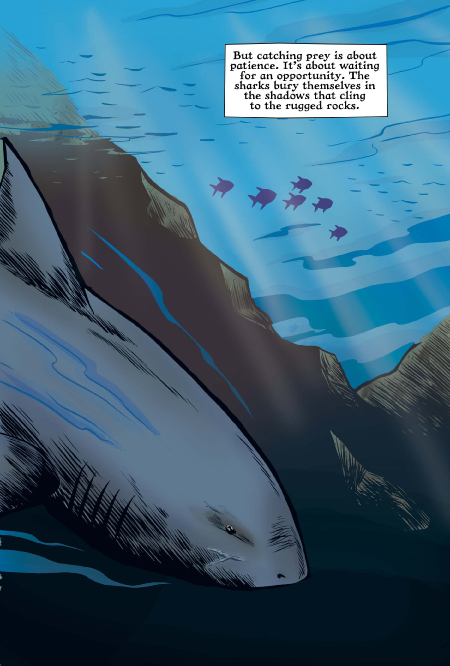 Xoc: The Journey of a Great White preview page 4 Xoc: The Journey of a Great White preview page 4
