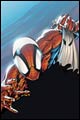 Image: Amazing Spider-Man #511