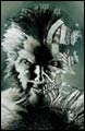 Image: Detective Comics #838