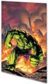 Image: Marvel Adventures Hulk Vol. 01: Misunderstood Monster  (digest)