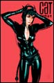 Image: Catwoman: Catwoman Dies SC 