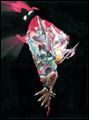 Image: Astro City: The Dark Age HC 