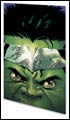 Image: Hulk: World War Hulk - Gamma Corps SC 