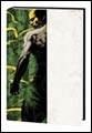 Image: Immortal Iron Fist Vol. 02: The Seven Capital Cities of Heaven HC 