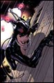 Image: Catwoman #80