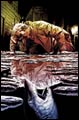 Image: Hellblazer #247