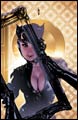 Image: Catwoman: Crime Pays SC 