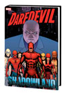 Image: Daredevil: Shadowland Omnibus HC  (new printing) (main cover - Cassaday) - Marvel Comics