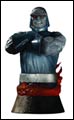 Image: Heroes of the DCU: Darkseid Bust 