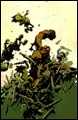 Image: Hellboy: Wild Hunt #4