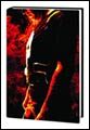 Image: Punisher Max Vol. 05 HC 