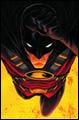 Image: Red Robin: The Grail SC 