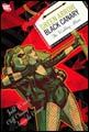 Image: Green Arrow / Black Canary: The Wedding Album SC 