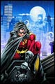 Image: Robin: Search for a Hero SC 