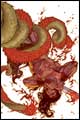 Image: Conan #31