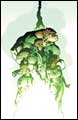 Image: Green Lantern Corps: To Be a Lantern SC 