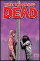 Image: Walking Dead #41