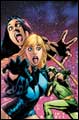 Image: Black Canary  #3 (2007)