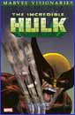 Image: Hulk Visionaries: Peter David Vol. 2 SC 