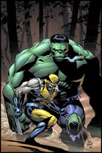 Image: Incredible Hulk #80 (Vol. 3)