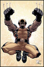 Image: Wolverine #29 (Vol. 2)