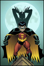 Image: Robin #148