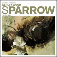 Image: Sparrow #1: Ashley Wood HC 