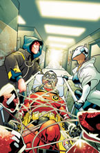 Image: Robin #165