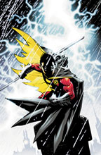 Image: Robin #166