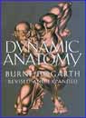 Image: Hogarth's Dynamic Anatomy  (revised sc)