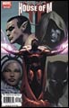 Image: House of M #6 (Land variant)
