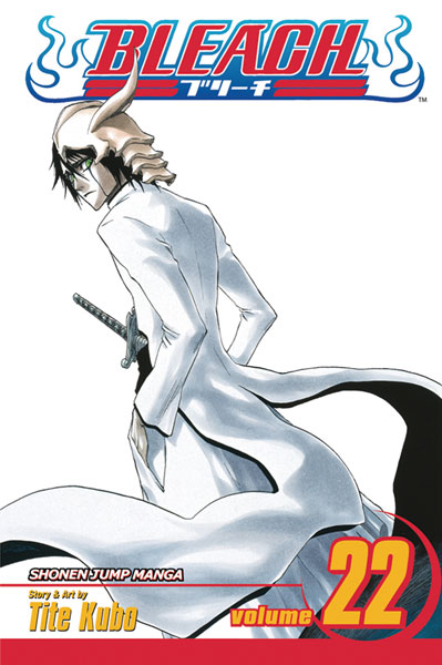 Bleach Comic Book