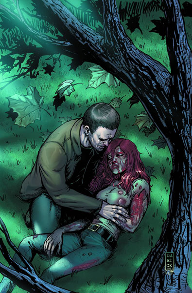 Image: Fly: The Fall #1 (cover C - Robertson)
