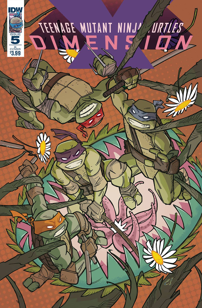 Image: Teenage Mutant Ninja Turtles: Dimension X #5 (cover B - Rousseau)  [2017] - IDW Publishing