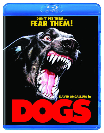 Image: Dogs DVD  - 