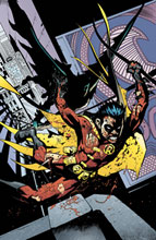 Image: Robin #167