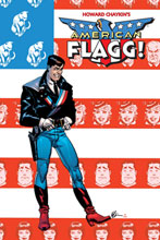 Image: American Flagg! Definitive Collection Vol. 01 SC 
