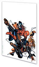 Image: Amazing Spider-Girl Vol. 04: Brand New Day SC 