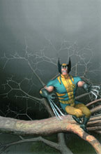 Image: Wolverine: Flies to a Spider #1