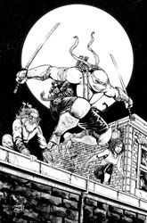 Image: Teenage Mutant Ninja Turtles #144 (cover D incentive 1:25 - Smith) - IDW Publishing