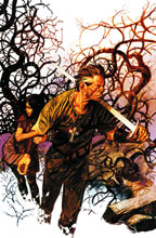 Image: Northlanders Vol. 02: The Cross and the Hammer SC 