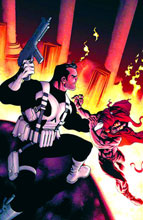 Image: Punisher #10