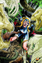 Image: JSA All Stars #5