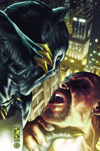 Image: Black Panther: Man Without Fear #517