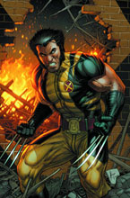 Image: Wolverine #304
