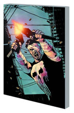 Image: Punisher by Greg Rucka Vol. 02 SC 
