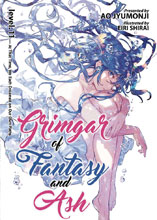 Image: Grimgar of Fantasy & Ash Light Novel Vol. 11  - Seven Seas Entertainment LLC