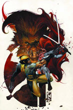 Image: Wolverine #312